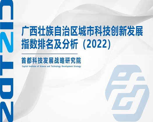 被几个大鸡吧插进去视频【成果发布】广西壮族自治区城市科技创新发展指数排名及分析（2022）